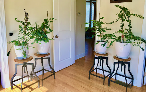 Produce Market «Sunscape Farms», reviews and photos, 1420 Creek St, Rochester, NY 14625, USA