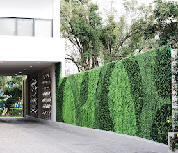 Áurea Hotel & Suites photo