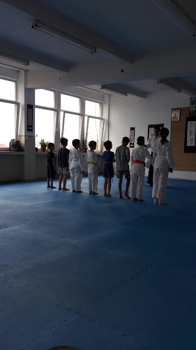 Opinii despre Aikido Dojo Atlantis în <nil> - Școală de dans