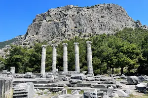 Priene Temple of Athena image