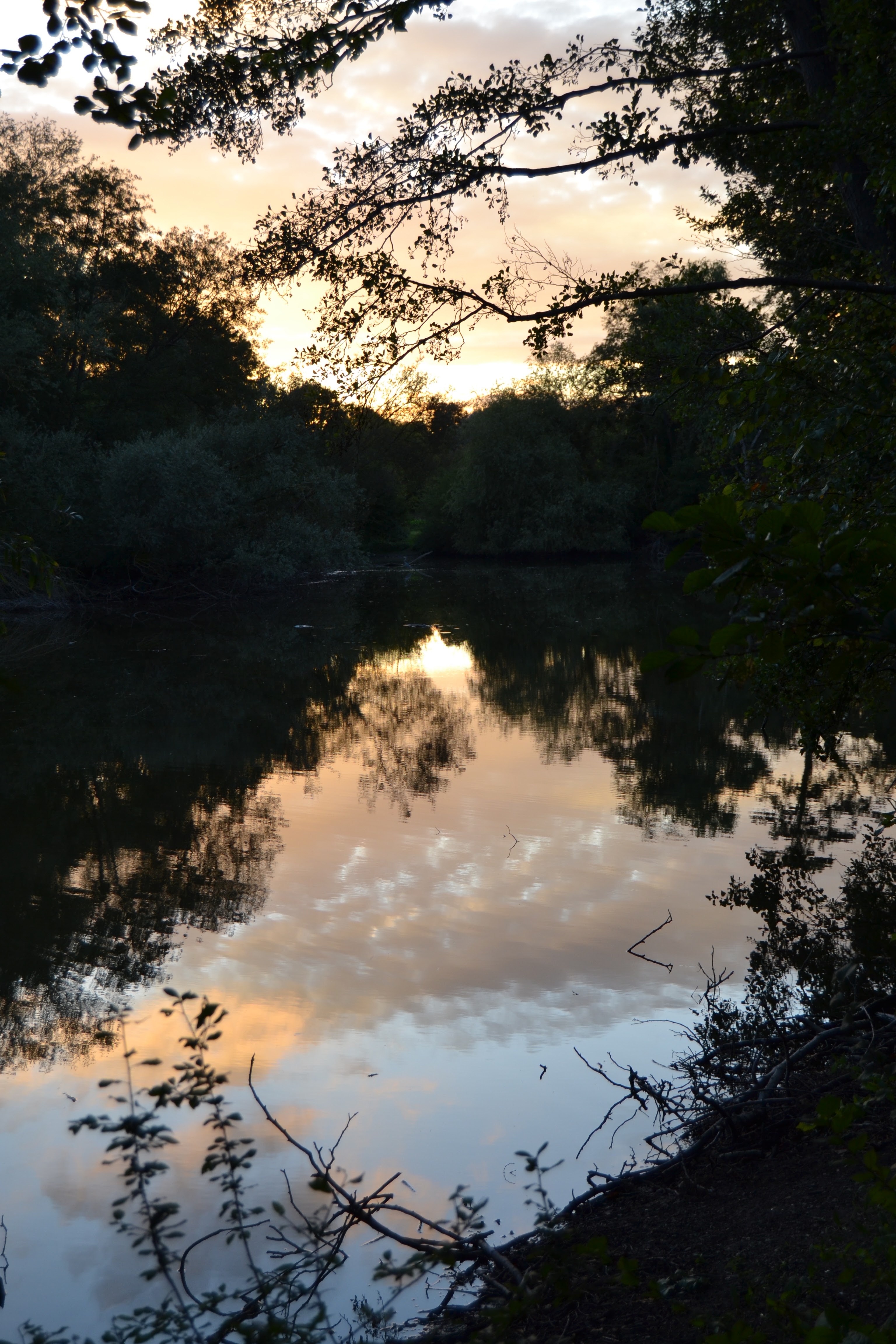 Photo n° 1 de l'avis de Lionel.h fait le 18/10/2019 à 04:11