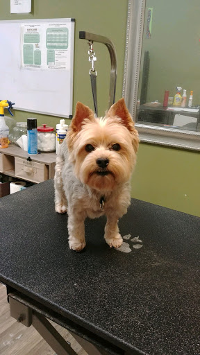 Pet Supply Store «EarthWise Pet Supply», reviews and photos, 3300 Hamilton Mill Rd #103, Buford, GA 30519, USA