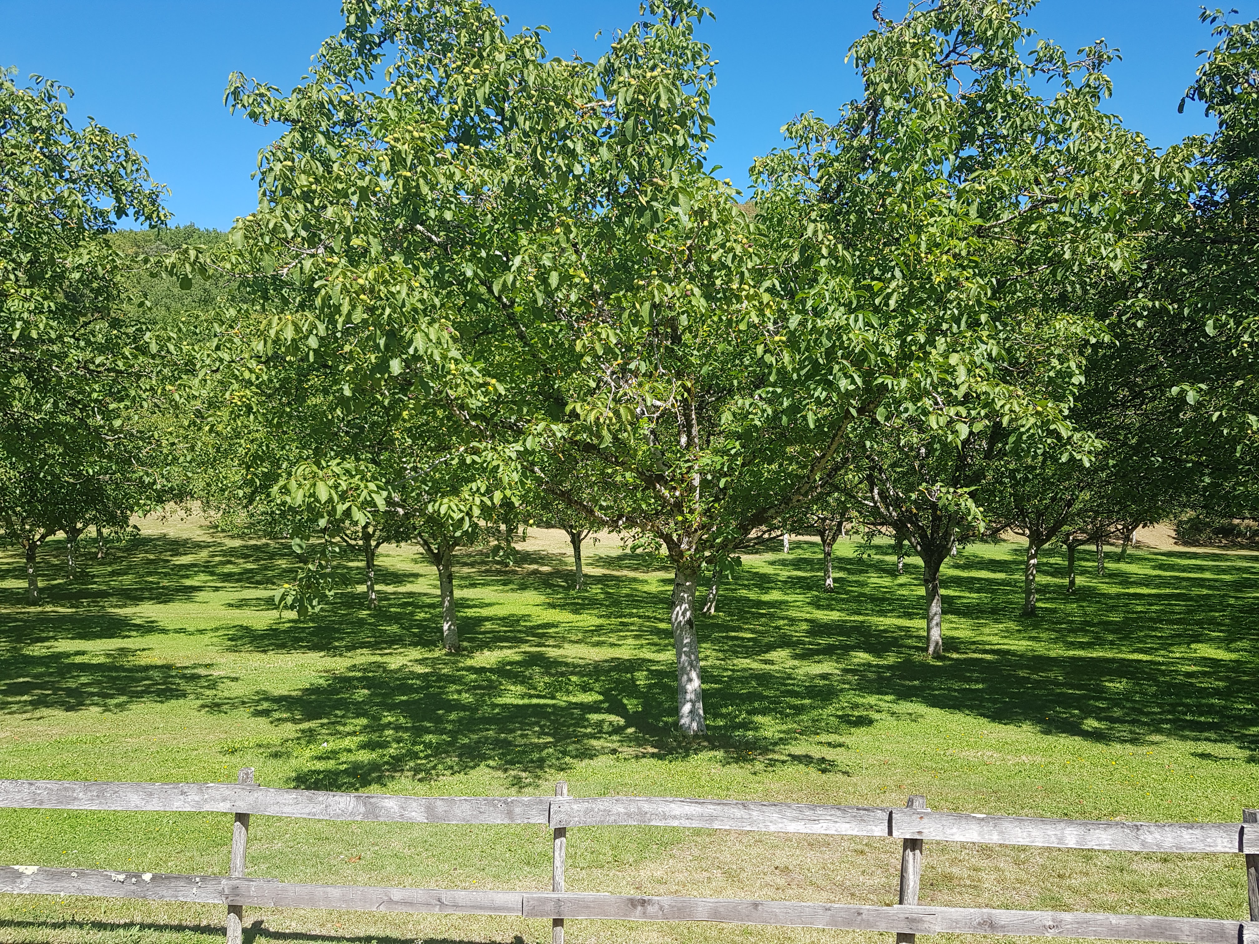 Photo n° 1 de l'avis de tania. fait le 20/09/2019 à 09:18