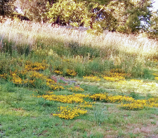 Park «Centennial Park», reviews and photos, 7800 W 171st St, Tinley Park, IL 60487, USA