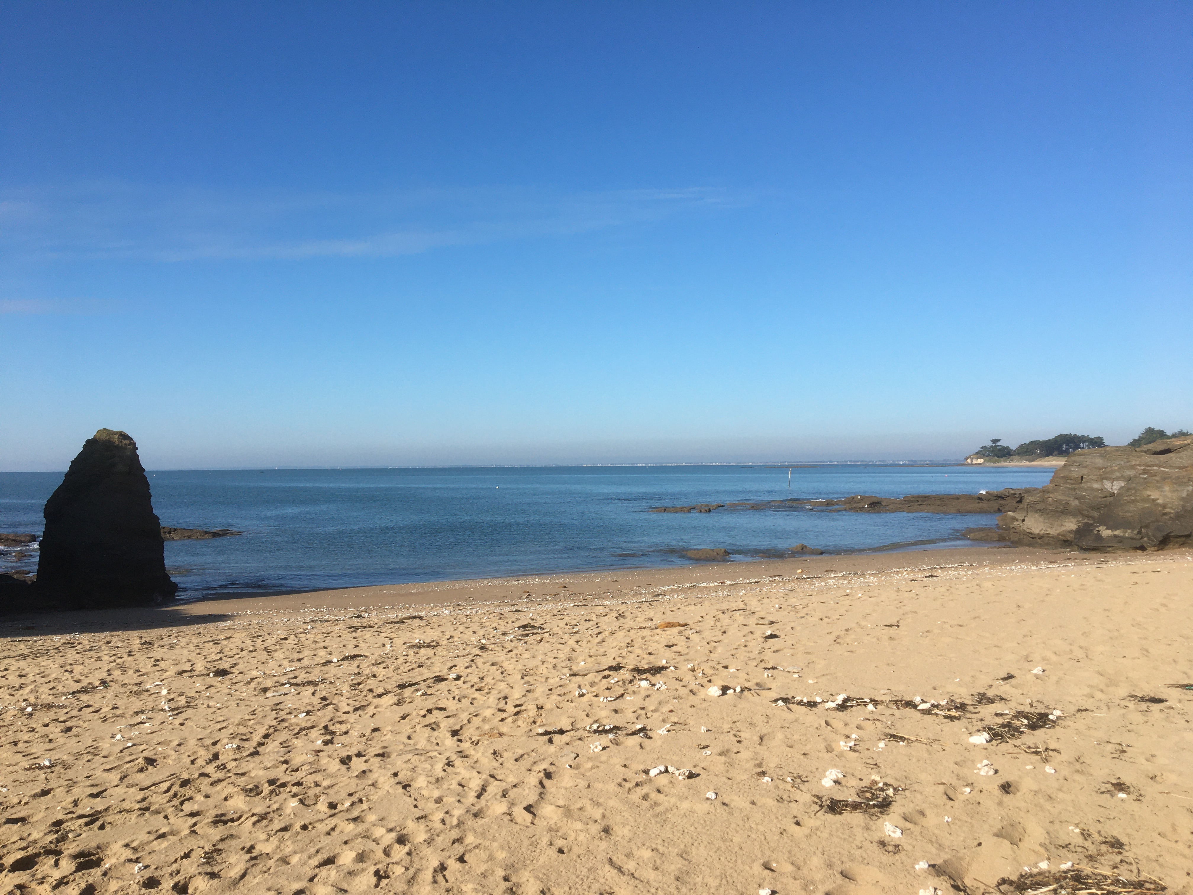 Photo n° 2 de l'avis de Frédéric.U fait le 11/11/2021 à 14:40