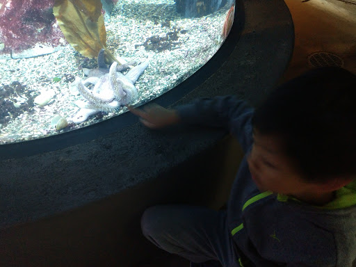 Zoo «Blank Park Zoo», reviews and photos, 7401 SW 9th St, Des Moines, IA 50315, USA