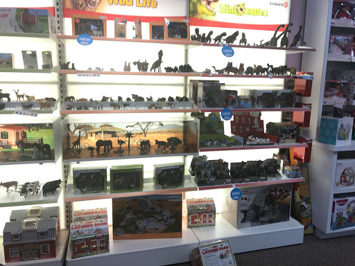 Toy Store «Brilliant Sky Toys & Books - Charlotte», reviews and photos, 9882 Rea Rd G, Charlotte, NC 28277, USA