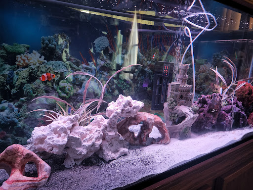 Pet Supply Store «Petco Animal Supplies», reviews and photos, 3975 Cascades Blvd #30, Kent, OH 44240, USA