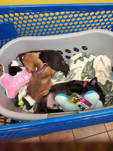 Pet Supply Store «PetSmart», reviews and photos, 23470 Allen Rd, Woodhaven, MI 48183, USA