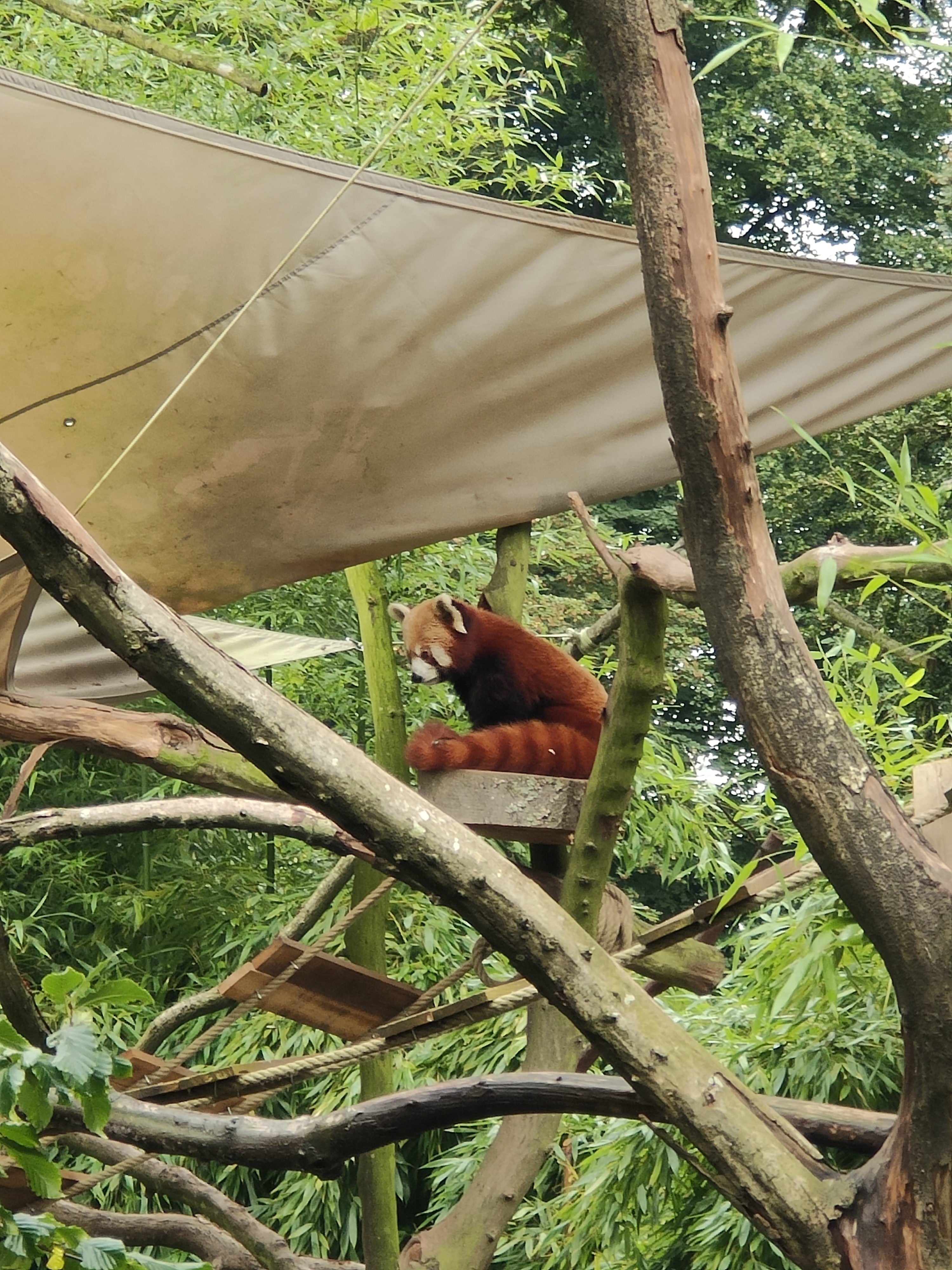 Photo n° 2 de l'avis de amourette.h fait le 19/09/2023 à 06:08