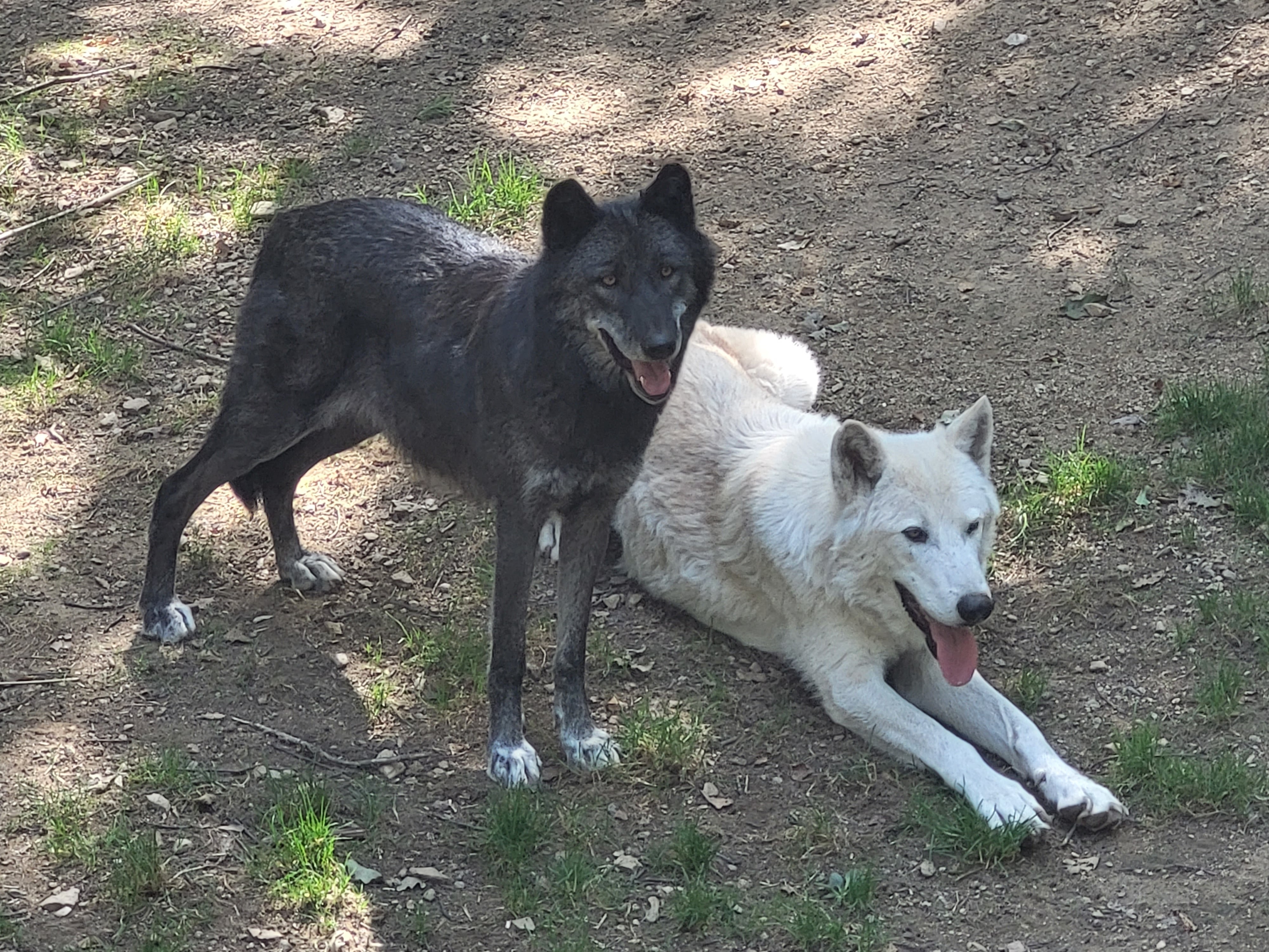 Photo n° 1 de l'avis de Gwenaelle. fait le 25/08/2022 à 15:11