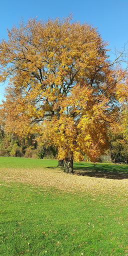 Golf Course «Forest Park Golf Course», reviews and photos, 101 Forest Park Dr, Woodhaven, NY 11421, USA