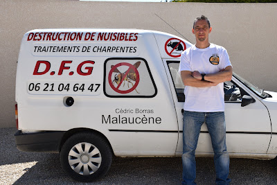 DFG désinsectisation dératisation à Malaucène