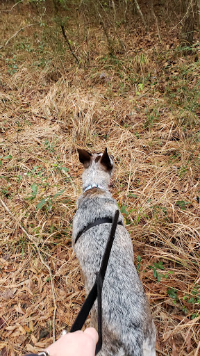 Park «Terramont Park», reviews and photos, 8500 Terramont Dr, The Woodlands, TX 77382, USA