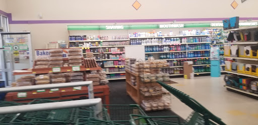 Pharmacy «Discount Drug Mart», reviews and photos, 5500 Wallings Rd, North Royalton, OH 44133, USA