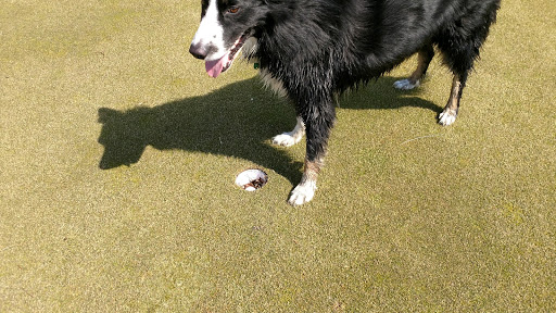 Golf Course «Eastern Hills Golf Course», reviews and photos, 6075 E G Ave, Kalamazoo, MI 49004, USA