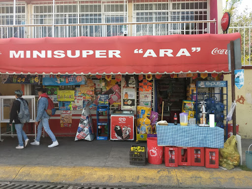 Tienda de Abarrotes ,refrescos, cerveza, Vinos MINI SUPER ARA