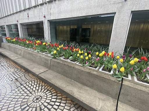 Movie Theater «Landmark Theaters Embarcadero Center Cinema», reviews and photos, 1 Embarcadero Center, San Francisco, CA 94111, USA