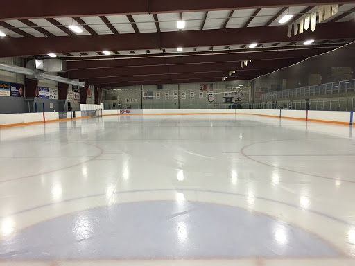 Ice skating club Winnipeg