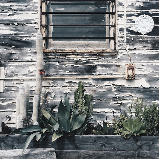 Gift Shop «GENERAL STORE», reviews and photos, 4035 Judah St, San Francisco, CA 94122, USA