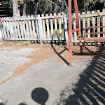 Photo n°1 de l'avis de Giulia.a fait le 01/03/2020 à 13:27 sur le  Ristorante Pizzeria Al Dollaro 2 à Carlentini