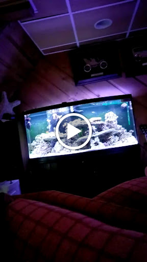 Pet Supply Store «PetSmart», reviews and photos, 24 Countryside Plaza, Countryside, IL 60525, USA