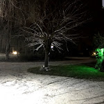 Photo n°7 de l'avis de Diana. fait le 17/01/2018 à 08:25 sur le  Fiume Stella à Precenicco