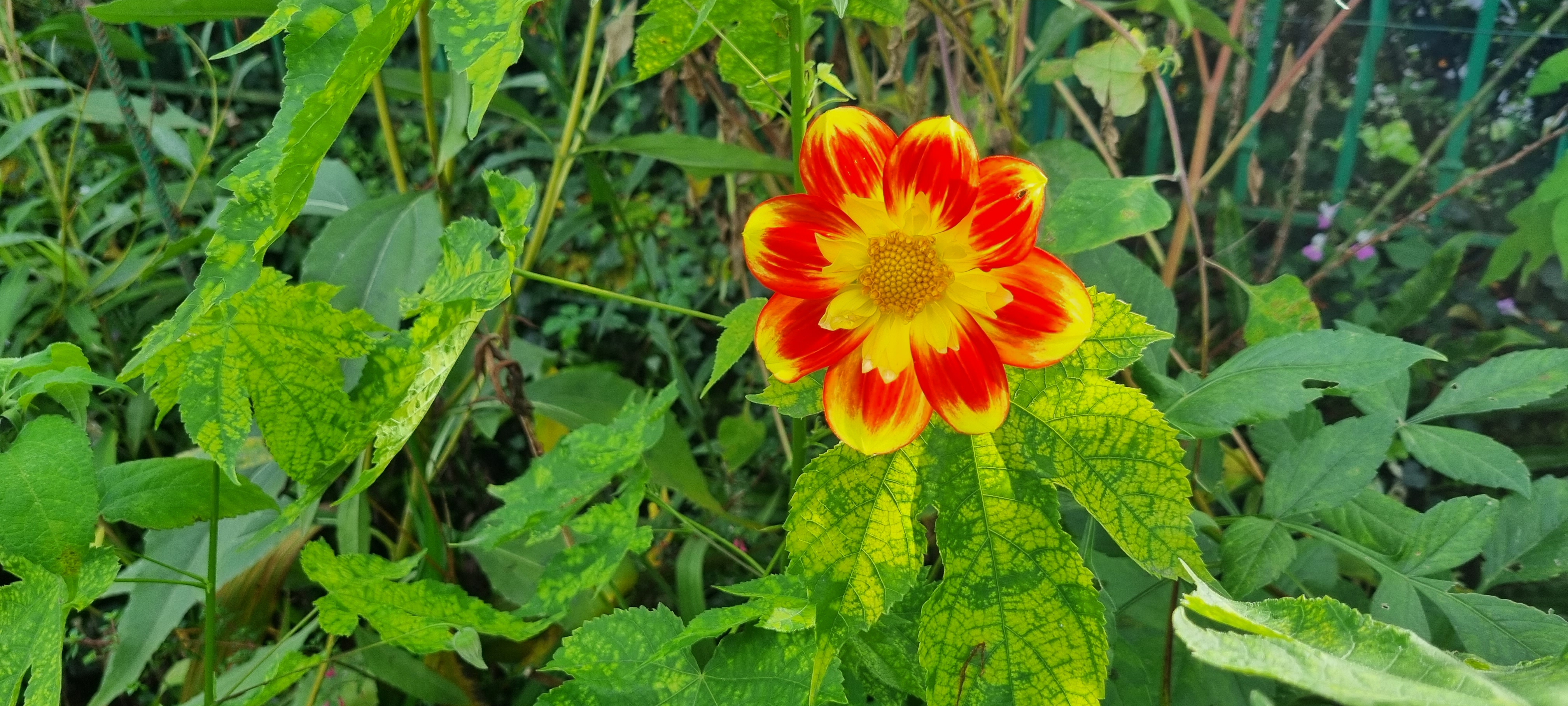 Photo n° 25 de l'avis de lemagicien40. fait le 03/11/2023 à 07:28