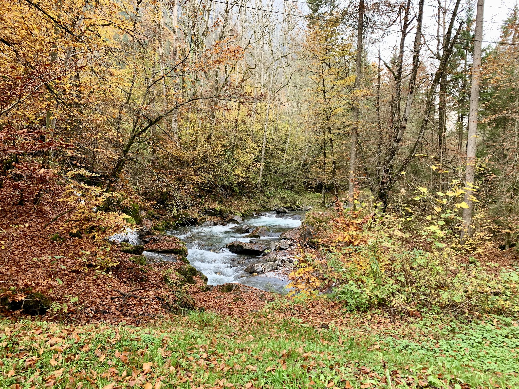 Photo n° 4 de l'avis de Edward. fait le 31/10/2019 à 04:43