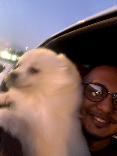 Car Repair and Maintenance «Midas», reviews and photos, 2428 N Scottsdale Rd, Scottsdale, AZ 85257, USA