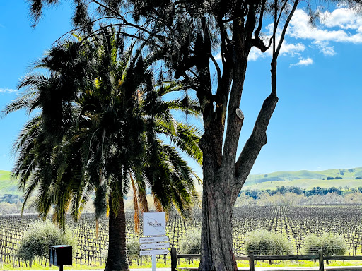 Winery «Las Positas Vineyards», reviews and photos, 1828 Wetmore Rd, Livermore, CA 94550, USA