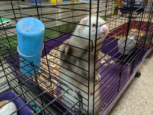 Tropical Fish Store «Caribbean Pets», reviews and photos, 298 Central Ave, Jersey City, NJ 07307, USA