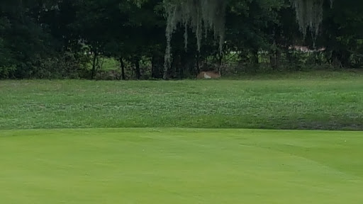 Golf Club «Silver Dollar Golf & Trap Club», reviews and photos, 12711 Silver Dollar Dr, Odessa, FL 33556, USA