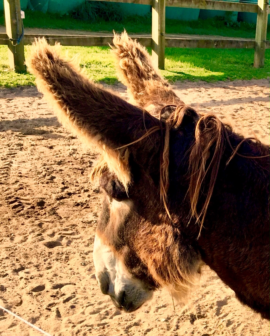 Photo n° 7 de l'avis de Paul.� fait le 18/05/2020 à 06:59