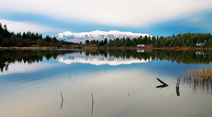 Altos en el bosque