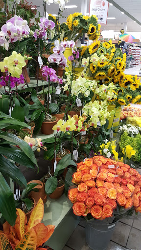 Supermarket «King Kullen», reviews and photos, 2044 Montauk Hwy, Bridgehampton, NY 11932, USA