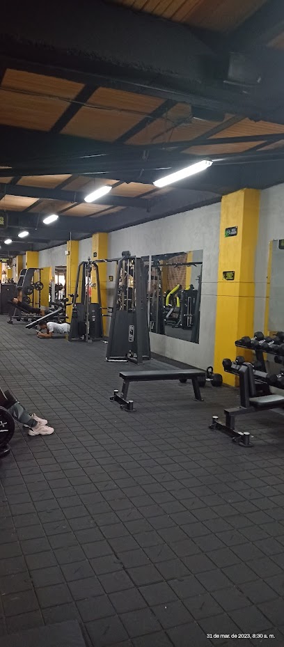 Gimnasio Iron Caf Paradise - Dg. 53 #128 Sur-53, Caldas, Antioquia, Colombia