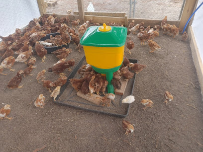 RES Poultry Farm