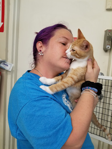 Pet Supply Store «Pet Supplies Plus», reviews and photos, 800 Linton Blvd, Delray Beach, FL 33444, USA