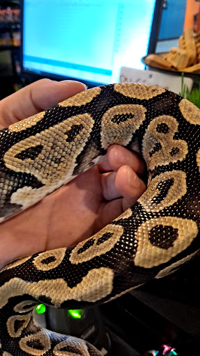 Pet Store «The Pet Works», reviews and photos, 407 4th Ave E, Olympia, WA 98501, USA