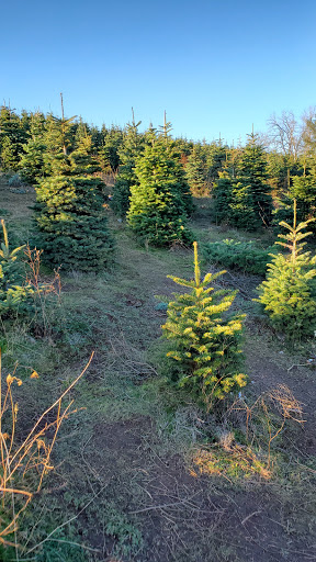 Gift Shop «Sleighbells Of Sherwood (Seasonal Business Open July1-December 23)», reviews and photos, 23855 SW 195th Pl, Sherwood, OR 97140, USA