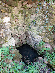 Photo n°1 de Fontaine Miraculeuse contre les Maladies de peau à Saint-Barthélémy-de-Bussière ()