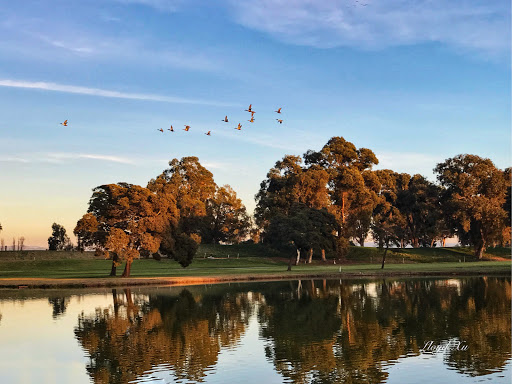 Public Golf Course «Chuck Corica Golf Complex», reviews and photos, 1 Clubhouse Memorial Rd, Alameda, CA 94502, USA