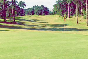 CAM2 Golf Club at Springview image