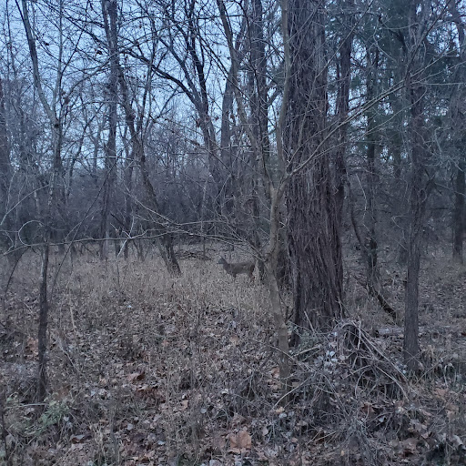 Lawrence River Trails , Lawrence, Kansas Zaubee