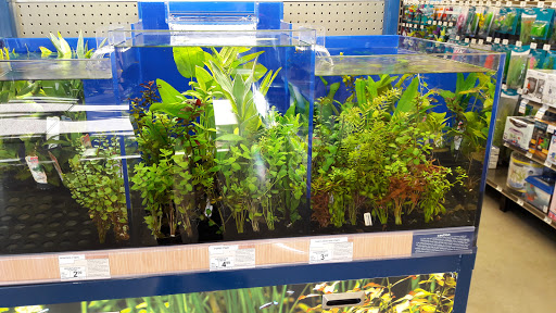 Pet Supply Store «Petco Animal Supplies», reviews and photos, 8161 Beverly Blvd, Los Angeles, CA 90048, USA