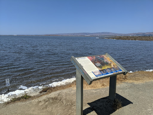 Park «Alviso Marina County Park», reviews and photos, 1195 Hope St, Alviso, CA 95002, USA