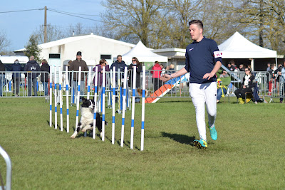 Club canin agility Noirterre à Bressuire