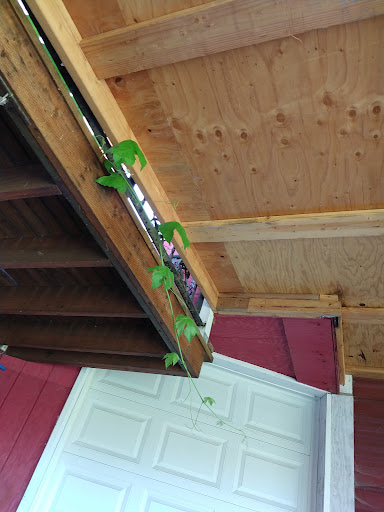 Winery «Hanson Vineyards», reviews and photos, 34948 S Barlow Rd, Woodburn, OR 97071, USA