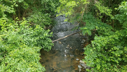 Little Sugar Creek Greenway